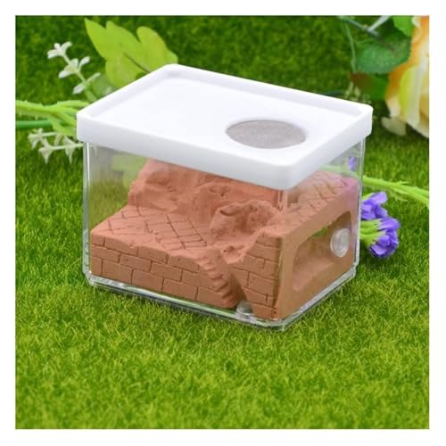 Ameisenfarm Ameisennest Gips Ant Farm Square Nest Haustier Anthill Insektenkasten Ant Nest Workshop Verwendet Für Ant Wissenschaft Bildung Ameisenhaus Ameisen Zucht Box(Brown) von GTGXZX