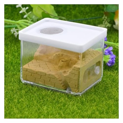 Ameisenfarm Ameisennest Gips Ant Farm Square Nest Haustier Anthill Insektenkasten Ant Nest Workshop Verwendet Für Ant Wissenschaft Bildung Ameisenhaus Ameisen Zucht Box(Yellow) von GTGXZX