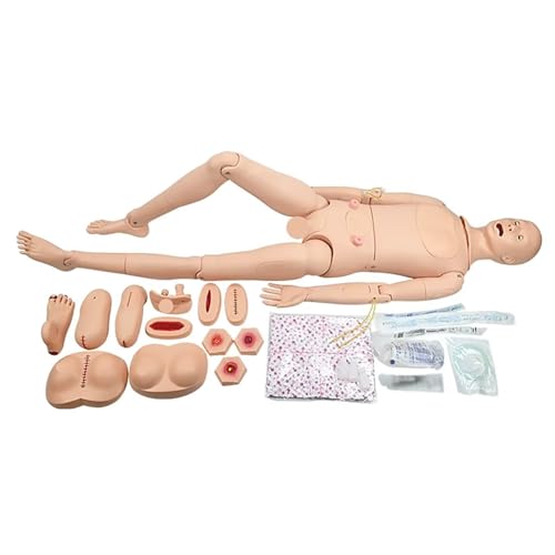 Trainingsmodell für die männliche und weibliche Patientenpflege, Krankenpflegepuppe für Patientenaufklärung und Körperpflegesimulation, Vermittlung medizinischer Trainingsfähigkeiten von GTRpenico