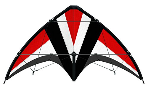 Günther Flugspiele 1031 - Sportlenkdrachen Whisper 125 GX, Air Sport Drachen aus reißfestem Ripstop-Polyester, ca. 125 x 54 cm, für Kinder ab 10 Jahren, inkl. 36 kp Polyesterschnüre 2 x 35 m von GÜNTHER FLUGSPIELE