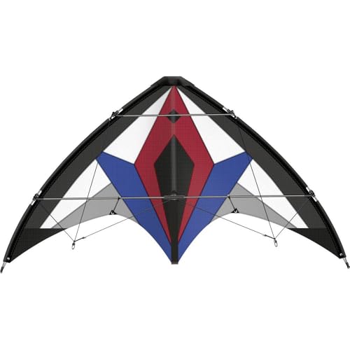 Günther Flugspiele 1041 - Sportlenkdrachen Flexus 150 GX, Air Sport Drachen aus reißfestem Ripstop-Polyester, ca. 150 x 65 cm, für Kinder ab 12 Jahren, inkl. 36 kp Polyesterschnüre 2 x 35 m von GÜNTHER FLUGSPIELE