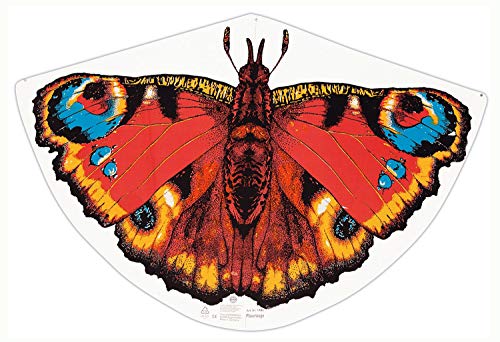 Günther Flugspiele 1103 - Einleiner-Drachen Pfauenauge, ca. 92 x 62 cm, Kinderdrachen aus robuster PE-Folie, für Kinder ab 4 Jahren, inkl. Griff und Drachenschnur Günther Flugspiele 1103 - Einleiner-Drachen Pfauenauge, ca. 92 x 62 cm, Kinderdrachen aus robuster PE-Folie, für Kinder ab 4 Jahren, inkl. Griff und Drachenschnur von GÜNTHER FLUGSPIELE