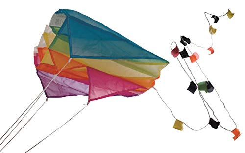 Günther Flugspiele 1172 - Einleiner-Drachen Mini Parafoil, ca. 60 x 51 cm, Kinderdrachen aus robustem Polyester, für Kinder ab 6 Jahren, inkl. Griff und Drachenschnur von GÜNTHER FLUGSPIELE