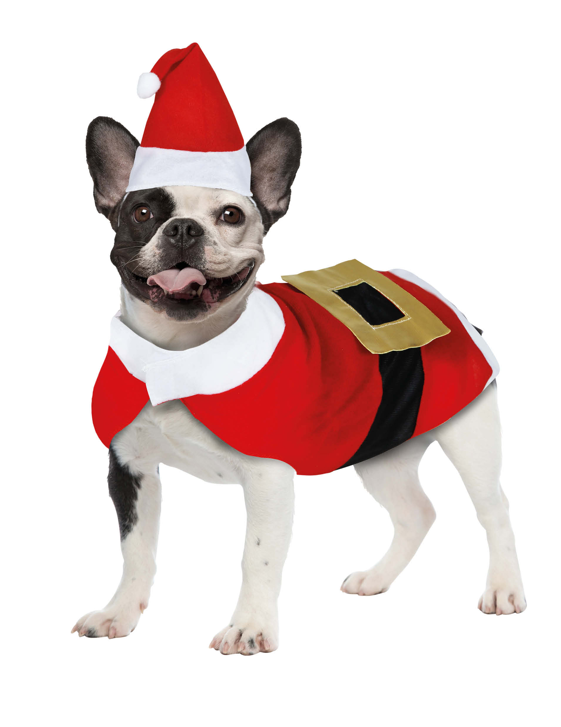 Weihnachts Kostüm für Hund kleiner Weihnachtsmann Outfit Weihnachts Kostüm für Hund kleiner Weihnachtsmann Outfit von GUIRMA