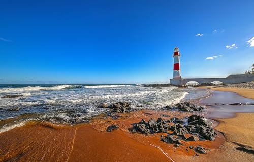 GUOHLOZ 1000 Teiliges Puzzle für Erwachsene, Familienspiel, Geschenk und Geschenk für Liebhaber oder Freunde, Strand, Brasilien, EL Salvador, Bahia, Landschaften, 75x50cm von GUOHLOZ