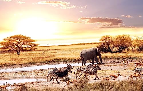 GUOHLOZ Puzzle 1500 Teile Erwachsene Klassisches Jigsaw Puzzle 1500 Teile, Bäume, Landschaft, Elefant, Savanne, Afrika, Tiere, Antilope, Zebras, 87x57cm von GUOHLOZ