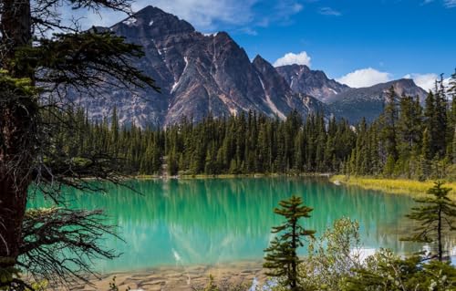 GUOHLOZ Puzzles für Erwachsene 1500 Teile Puzzles für Erwachsene Lernspiel Herausforderung 1500 Teile Holzpuzzles für Erwachsene Kinder,Kanada, Alberta,Rocky Mountains, Lake Cavell, 87x57cm von GUOHLOZ