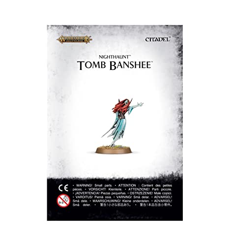 Games Workshop 99070207003 "Fine Cast Vampire Counts Tomb Banshee Actionfigur von Games Workshop