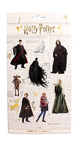 Gamesland SDTWRN23246 Magnete, mehrfarbig von Harry Potter