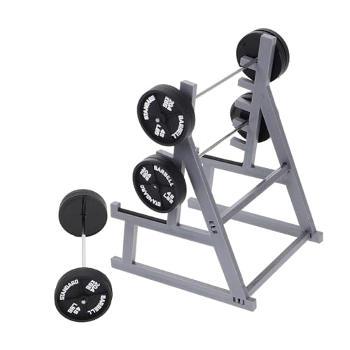 Garneck 1 Satz Fitness-langhantel-Ornamente Puppenhausmöbel Puppenhaus-langhantel Stifthalter Puppenhaus Bücherregal Squat-Rack-zubehör Desktop - Hantelscheibenhalter Black Plastik von Garneck