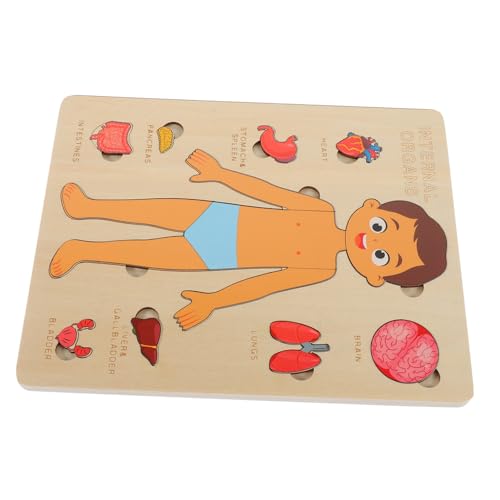 Garneck 1 Set Holzpuzzle Menschlicher Körper Für – Anatomie Lernspiel Mit Körperteilen Und Organen - Ideales Lernspielzeug Für Vorschulkinder Zur Von Anatomiekenntnissen von Garneck