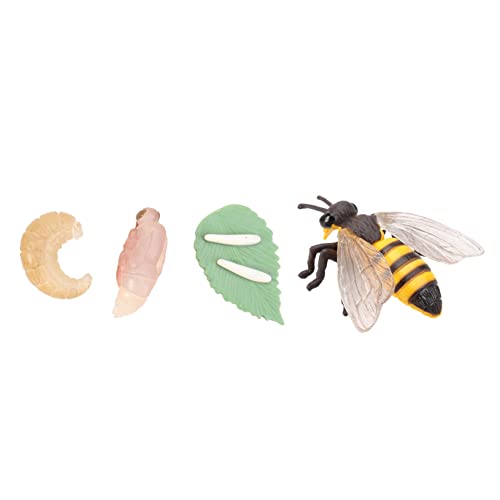 Gatuida 1 Satz Simulation Modellset Insekten Lebenszyklus für Realistische Tier Evolution Modelle Lernspielzeug für Vorschulkinder Dekoration und Unterrichtsmaterial Teiliges Gatuida 1 Satz Simulation Modellset Insekten Lebenszyklus für Realistische Tier Evolution Modelle Lernspielzeug für Vorschulkinder Dekoration und Unterrichtsmaterial Teiliges von Gatuida