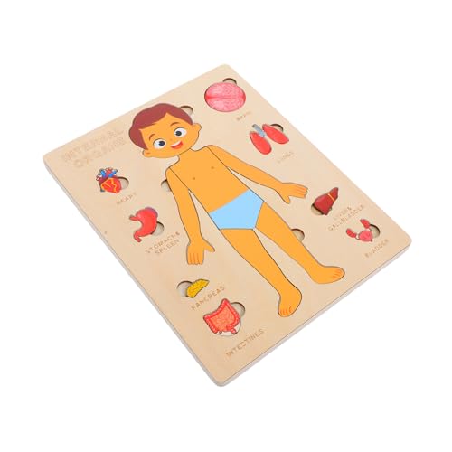 Gatuida 1 Set Menschlicher Körper Puzzle Kinderspielzeug Puzzles Für Spielzeug Puzzles Puzzle Spielzeug Lernpuzzle Körperteile Puzzle Menschlicher Körper Orgel Puzzles Kinderspielzeug von Gatuida