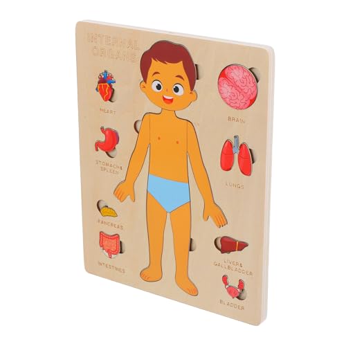 Gatuida 1 Set Puzzle Für Den Menschlichen Körper Puzzles Für Puzzle Spielzeug Spielzeug Für Kinder Puzzles Aus Holz Organe Puzzles Für Den Menschlichen Körper Holzpuzzle Spielzeug von Gatuida