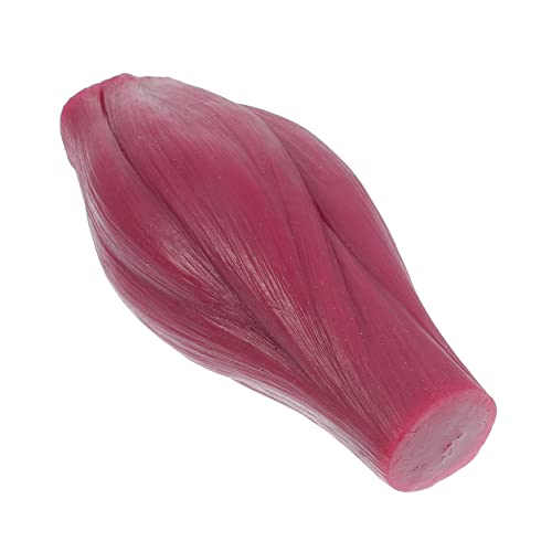 Gatuida 1 Stk Muskelmodell Anatomiemodell des menschlichen Torsos Schultermodell muskulös Muskelornament Körpermodell muskeln muscle Nachbaumodell 1-Pfund-Displaymodell Kieselgel Gatuida 1 Stk Muskelmodell Anatomiemodell des menschlichen Torsos Schultermodell muskulös Muskelornament Körpermodell muskeln muscle Nachbaumodell 1-Pfund-Displaymodell Kieselgel von Gatuida