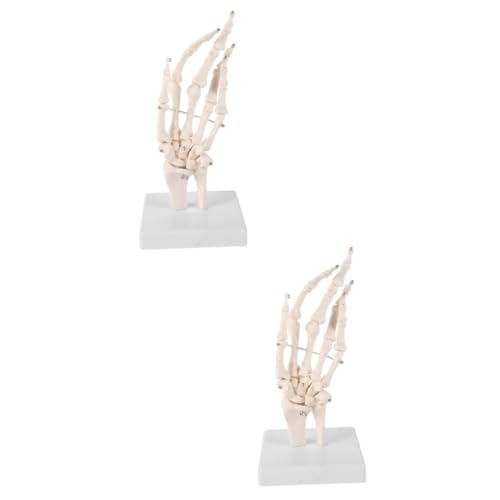 Gatuida 2 Stück Handknochen Gelenkmodell Menschliche Hand Anatomisches Modell Skeletthand In Menschlicher Größe Medizinisches Anatomisches Modell Handprothese Für Den Unterricht von Gatuida