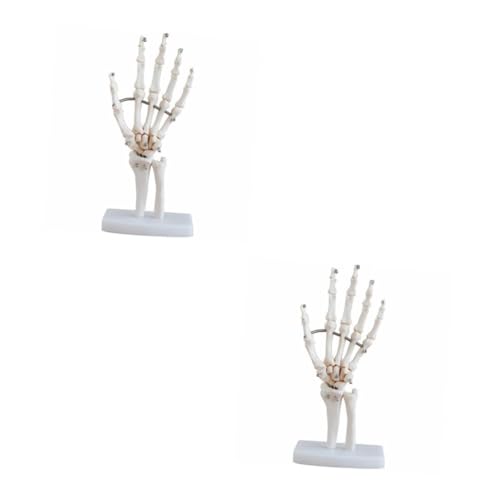 Gatuida 2St handgelenk modell Hand joint model Hand skeleton model Human hand model gefälscht Skelett- werkzeug Gelenkmodell mit Sockel Anatomisches Modell des Handskeletts PVC Weiß von Gatuida