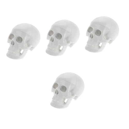 Gatuida 4 Stück Schädelmodell Schädelfiguren Kopfknochenmodell Künstliche Schädelverzierung Anatomischer Kopfknochen Realistischer Menschlicher Schädel Realistischer Schädel Pvc Weiß von Gatuida