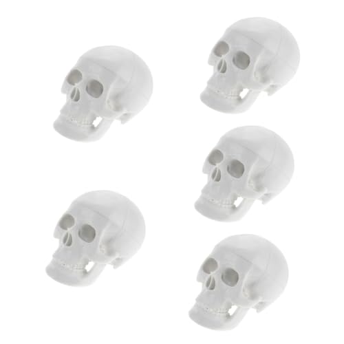 Gatuida 5St Schädelmodell Halloween-Schädeldekoration Schädel medizinisches Modell Schädelfiguren Kopfmodell Anatomisches Modell Halloween-Party-Dekor Modell der Schädelanatomie PVC Weiß von Gatuida