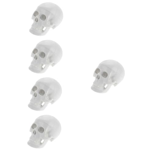 Gatuida 5St Schädelmodell realistischer Schädel Kopfknochenmodell Halloween-Schädeldekoration Kopfmodell Anatomisches Modell simulierter Schädel Modell des menschlichen Körpers PVC Weiß von Gatuida