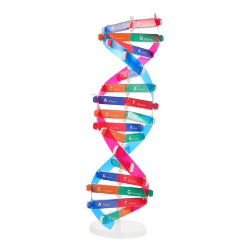 Gatuida DNA Modell Bausatz Doppelhelix Selbstmontage Wissenschaftsspielzeug Biologie Lehrmittel für Experimente und Unterricht Pädagogisches zur Genetikvermittlung Gatuida DNA Modell Bausatz Doppelhelix Selbstmontage Wissenschaftsspielzeug Biologie Lehrmittel für Experimente und Unterricht Pädagogisches zur Genetikvermittlung von Gatuida