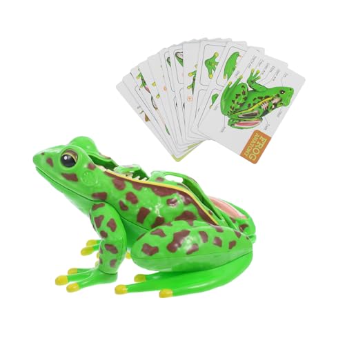 Gatuida Frosch-Modell experimentierkasten Lernspielzeug für Frosch Puzzle Frosch Dissektion Frosch Lernset Frosch-Lernmodell Frosch-Schmuckstücke Anatomie-Lernwerkzeug Plastik Green von Gatuida