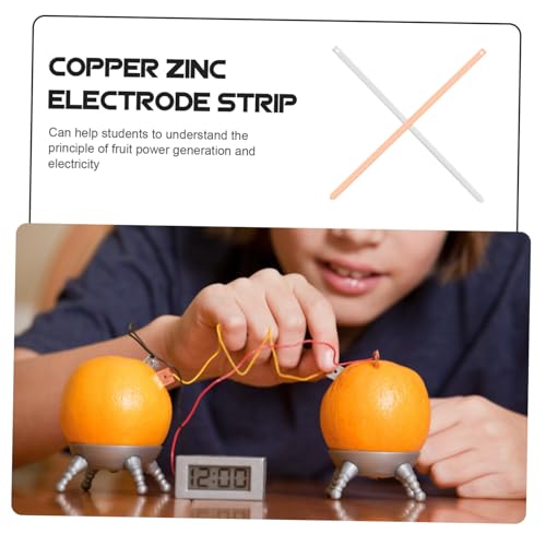 Gatuida Kupfer elektrodenstreifen für Wissenschaftliche Obstbatterie experimente Leicht Bedienbar DIY Lernmaterial für Physik Chemieunterricht Gatuida Kupfer elektrodenstreifen für Wissenschaftliche Obstbatterie experimente Leicht Bedienbar DIY Lernmaterial für Physik Chemieunterricht von Gatuida