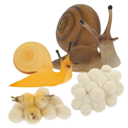 Gatuida Miniatur Schneckenwachstumsmodell Lehrmittel Realistische Lernspielzeuge für Biologisches Wachstumszyklus Modell Naturgetreu Pädagogisch Spielerisch Gatuida Miniatur Schneckenwachstumsmodell Lehrmittel Realistische Lernspielzeuge für Biologisches Wachstumszyklus Modell Naturgetreu Pädagogisch Spielerisch von Gatuida