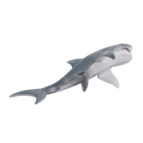 Gatuida Realistische Weiße Fisch Spielfigur aus Hochwertigem Pädagogisches Meeres tiermodell für Robustes Meerestier der Fantasie Sicher und Langlebig für Junge Entdecker Ab Jahren Gatuida Realistische Weiße Fisch Spielfigur aus Hochwertigem Pädagogisches Meeres tiermodell für Robustes Meerestier der Fantasie Sicher und Langlebig für Junge Entdecker Ab Jahren von Gatuida