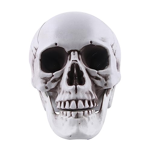 Gatuida Schädelform halloween halloween schädel halloween decor wohnungseinrichtung Halloween home decor bastelsachen kniffliges Spielzeug Spukhaus-Requisite Plastik Weiß von Gatuida