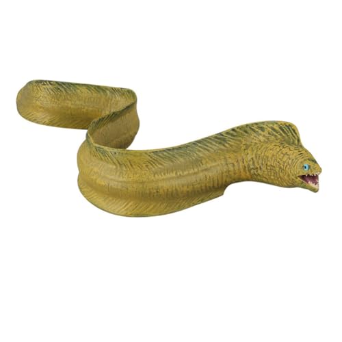 Gatuida Simuliertes Meeresaal Modell aus Hochwertigem Kunststoff Lebensecht und Kompakt Mini Meereslebewesen Ornament für Dekoration und Sammelfigur Realistische Animal Figur Gatuida Simuliertes Meeresaal Modell aus Hochwertigem Kunststoff Lebensecht und Kompakt Mini Meereslebewesen Ornament für Dekoration und Sammelfigur Realistische Animal Figur von Gatuida