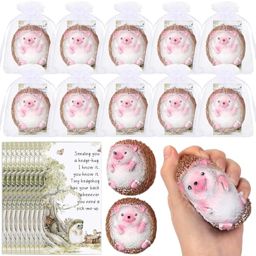 Gemscream 10 Set Inspirational Stress Foam Stone Relief Ball Igel Relief Ball Bulk with Card Organza Bag Motivational Stress Relief Ball Appreciation Gift for Adult, 4 Inch (Igel) von Gemscream