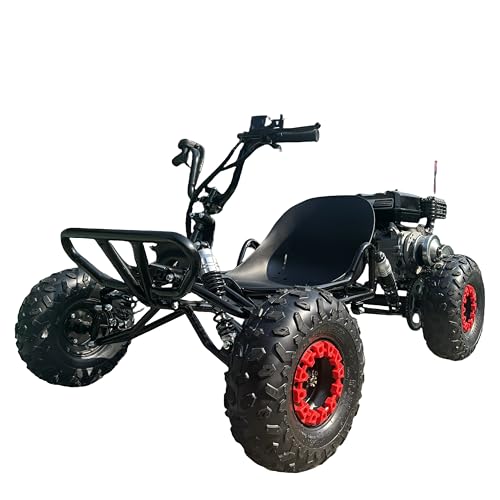 212cc 4-Takt Offroad-Go-Kart, 45 km/h, ab 16 Jahren, ATV, Freizeitspielzeug (schwarz) von Generic