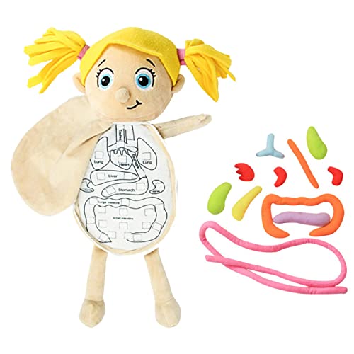 3D-Orgel-Plüschspielzeug | Spielzeugmodell Squeeze Toy Doll Parts Lernspiel 3D-Orgel-Plüschspielzeug | Spielzeugmodell Squeeze Toy Doll Parts Lernspiel von Generic