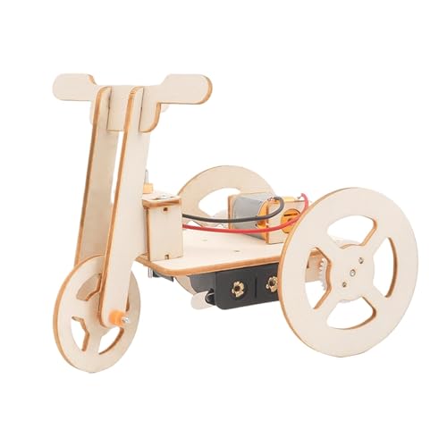 Wooden Puzzle - -Puzzle for Adults | Wooden Puzzle for Kids | Wooden Electric Tricycle | Teaching Aids | Small Wood Construction Set | Toy Building Blocks for Birthday, & Easter von Generic