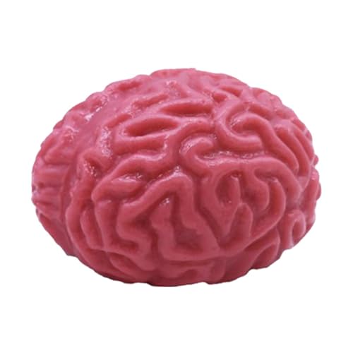 Brain Squeeze Balls – Fake Bloody Organ Stress Ball, Realistische Weiche Gel-Halloween-Dekoration | Mehrfach Verwendbare Gruselige Horror-Parties-Dekoration, Stressabbau-Ball In Gehirnform Für Spukhäu von Generic