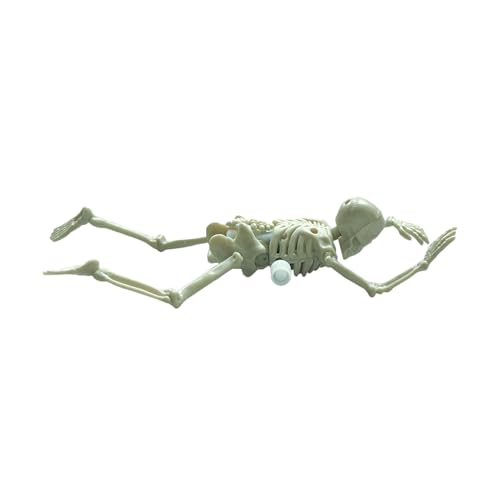 Crawling Skull Toy - Sturdy Hollow Body Leichtes Design, Aufwickelbewegung, Unterhaltsames Dekoratives Skelett Hinzufügen Urlaubszauber | Ornament Für Kinder Home Tischschrank Crawling Skull Toy - Sturdy Hollow Body Leichtes Design, Aufwickelbewegung, Unterhaltsames Dekoratives Skelett Hinzufügen Urlaubszauber | Ornament Für Kinder Home Tischschrank von Generic