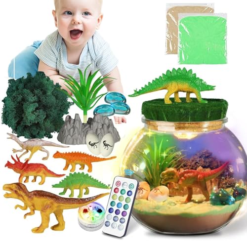 Dinosaurier-Terrarium-Set, leuchtendes Dinosaurier-Terrarium-Set - Dinosaurier-Spielzeug herstellen | Handgemachte Aktivitäten, Dino-Bastelarbeiten mit LED-Nachtlicht und Fernbedienung für Kinder von Generic