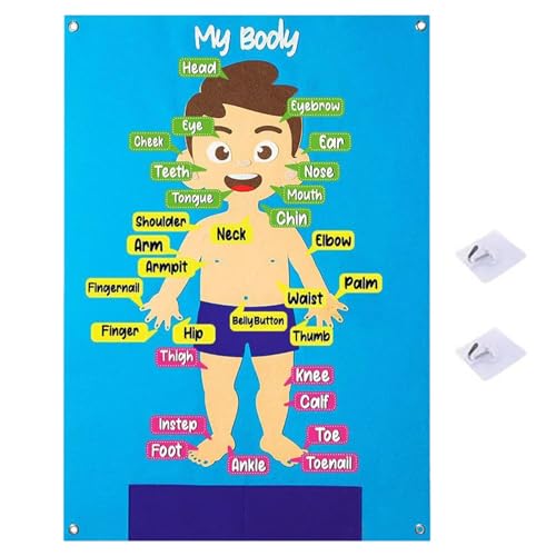 Filzbrett für Kleinkinder – 30 Stück Human Body Parts Lernpuzzles Kit | Eine Lerntafel aus Filz für frühes Lernen, sensorisches Spiel, präktive Aktivitäten Filzbrett für Kleinkinder – 30 Stück Human Body Parts Lernpuzzles Kit | Eine Lerntafel aus Filz für frühes Lernen, sensorisches Spiel, präktive Aktivitäten von Generic