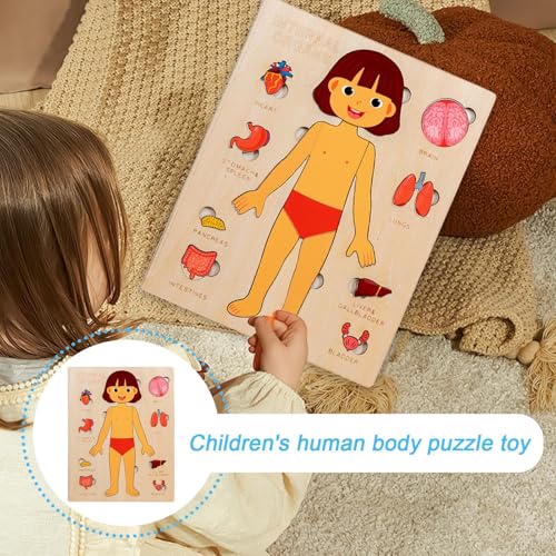 Körperteile Buch Für Kleinkinder 1-3 - Pädagogisches Holz Puzzle Vom Menschlichen Körper,Lernspielzeug Für Kleinkinder Unterwegs Spielen Lernen Krankenhaus Kind Schule Körperteile Buch Für Kleinkinder 1-3 - Pädagogisches Holz Puzzle Vom Menschlichen Körper,Lernspielzeug Für Kleinkinder Unterwegs Spielen Lernen Krankenhaus Kind Schule von Generic