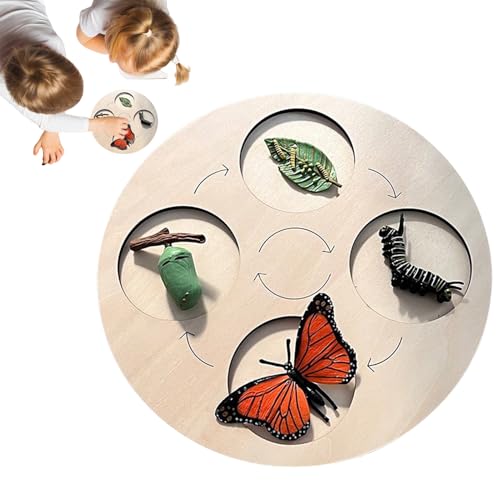 Lebenszyklus-Set Schmetterlinge – Tabelle des Lebenszyklus, Puzzle aus Holz, Wissenschaftliches Spielzeug in lebendigen Farben | Interaktives Lernspielzeug für Kleinkinder, Huhn, Lebenszyklus-Set Schmetterlinge – Tabelle des Lebenszyklus, Puzzle aus Holz, Wissenschaftliches Spielzeug in lebendigen Farben | Interaktives Lernspielzeug für Kleinkinder, Huhn, von Generic