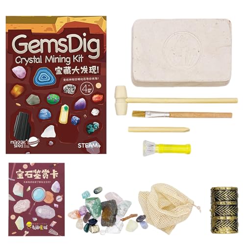 Mineralien Ausgrabungssatz - ChildrenExcavation Set, Kinderwissenschaftlabor Experimente Kit | Dinosaurier -Fossilien graben Aushub -Kit, Aktivitäten Bildungswissenschaftler Spielzeug, Ausgrabungssatz von Generic