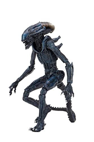 NECA Reel Toys Aliens Arachnoid Alien 2021 Actionfigur 22,9 cm von Rubie's