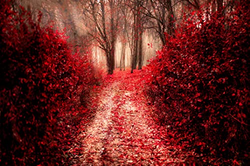 Puzzle 1000 Teile EIN Roter Wald In Einem Herbstsonnenuntergang 75 * 50Cm von Generic