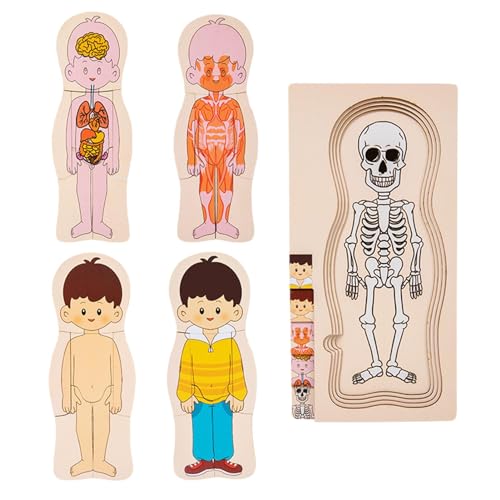 Puzzle mit Körperteilen aus Holz – Bodenpuzzle zur menschlichen Anatomie für Kinder, pädagogisches Anatomie-Puzzle | Lern-Anatomie-Puzzle, Skelett-Spielzeug, Modell-Puzzle des menschlichen Körpers zum von Generic