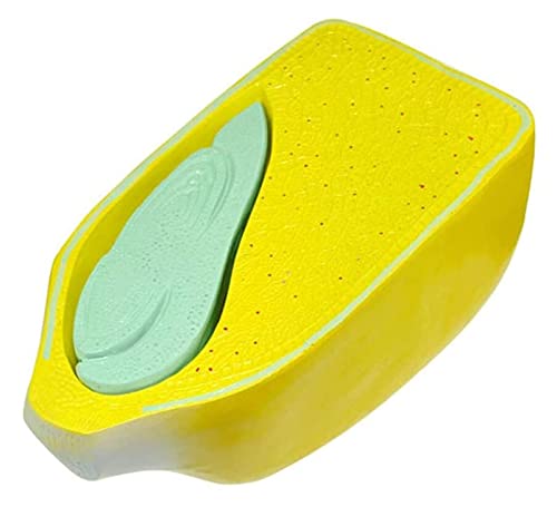 Skelett, Körpermodell, Skelettmodell, Maiskornmodell, Pflanzen-Anatomie-Display, Samenmantel, Endosperm, Lehr, Demonstration der Wissenschaft, Ausrüstung für medizinische Demonstration Skelett, Körpermodell, Skelettmodell, Maiskornmodell, Pflanzen-Anatomie-Display, Samenmantel, Endosperm, Lehr, Demonstration der Wissenschaft, Ausrüstung für medizinische Demonstration von Generic