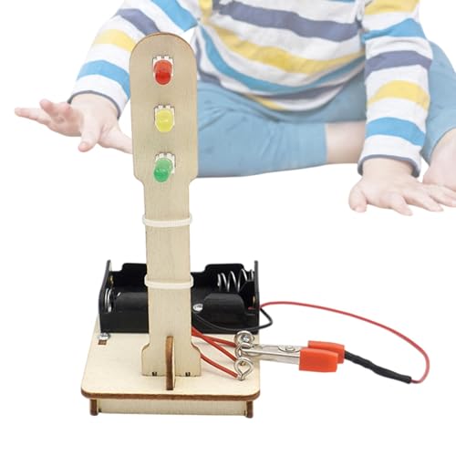 Wissenschaftliches Experimentierset, wissenschaftliche Experimente für Kinder, Ampel-Experiment-Spielset, Wissenschaftliches Laborspielzeug für Kinder, pädagogische Experimentierprojekte, wissenschaft von Generic