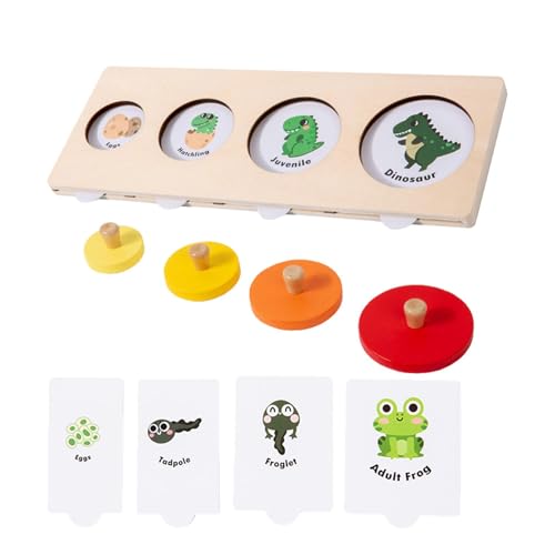 Wissenschaftliches Spielzeug für Kinder, Lebenszyklus-Puzzle - Lustiges Lernpuzzle - Innovatives Lernspielzeug aus Holz Matching Spiel für Kinder, und Mädchen Wissenschaftliches Spielzeug für Kinder, Lebenszyklus-Puzzle - Lustiges Lernpuzzle - Innovatives Lernspielzeug aus Holz Matching Spiel für Kinder, und Mädchen von Generic