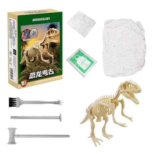 Dinosaurier-Fossilienausgrabungs-Set, Dinosaurier-Ausgrabungsset, Skelett-Dinosaurier-Spielzeug, realistisches Lernspielzeug, fossiles Dinosaurier-Modell für Hog von Genérico