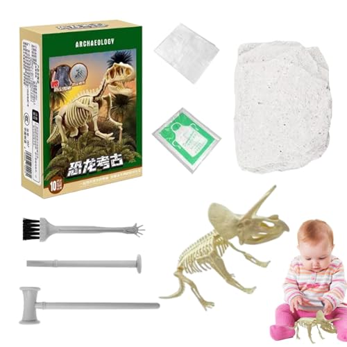 Dinosaurier-Skelett-Ausgrabungsset, Dinosaurier-Ausgrabungs-Set, Dinosaurier-Spielzeug zum Ausgraben von Skeletten, realistisches Lernspielzeug, fossiles Dinosauriermodell für den von Genérico